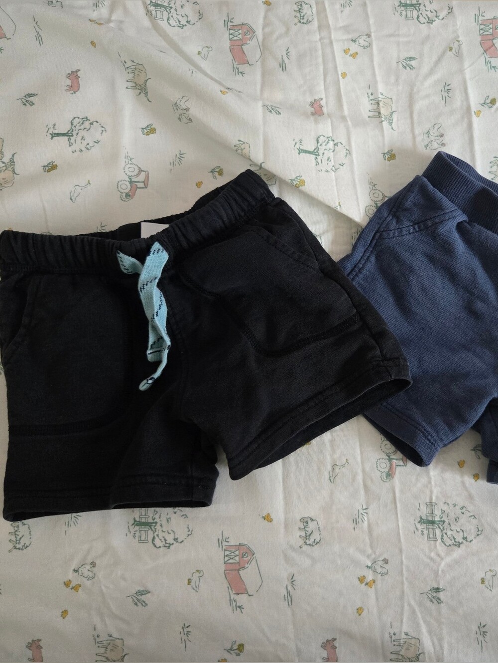 Lot Of 2 Carter's 18M Shorts